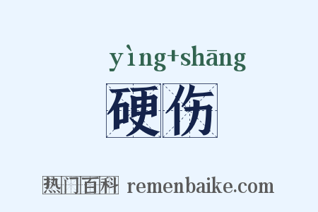 硬伤是什么意思的图片